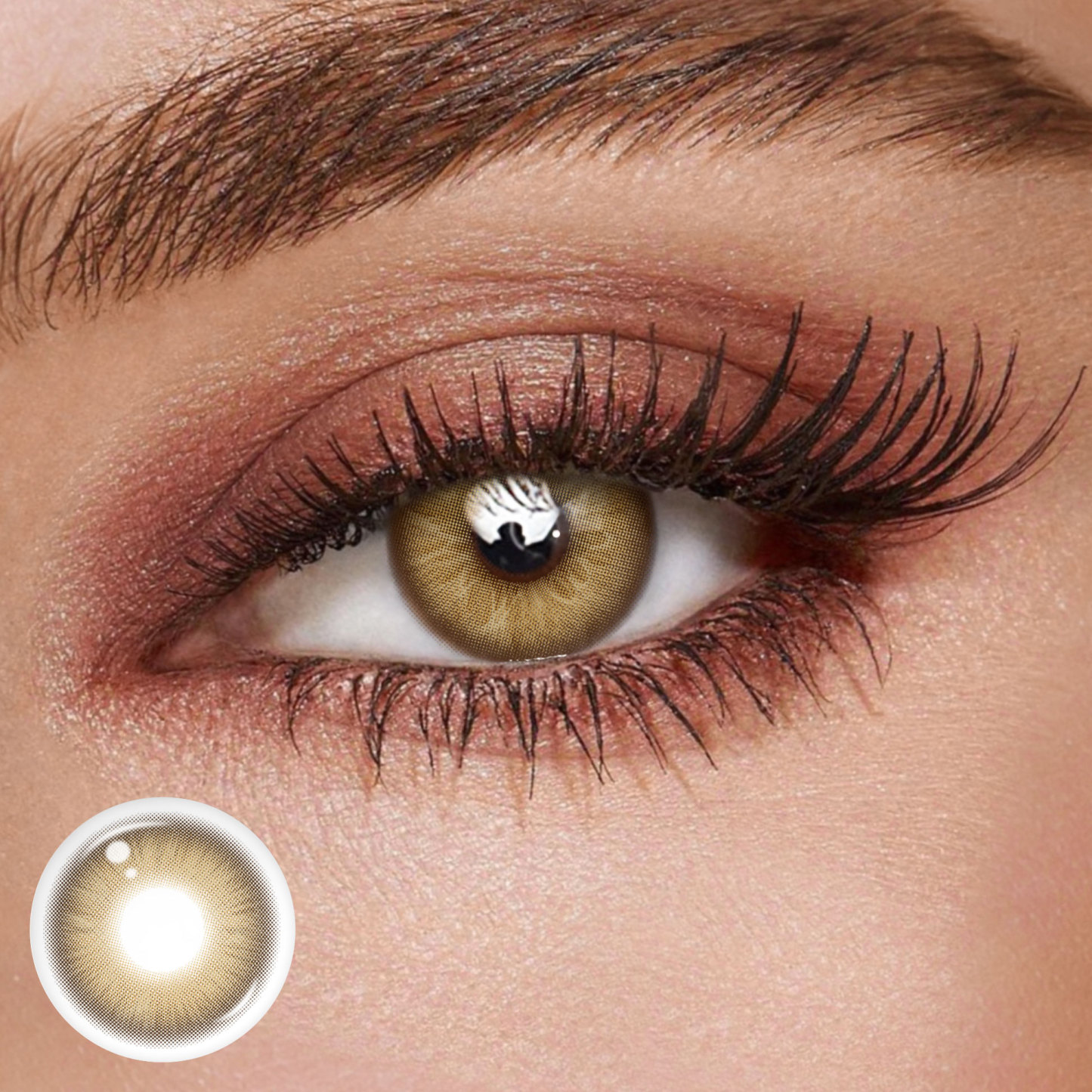 TolyTolly Chroma Brown