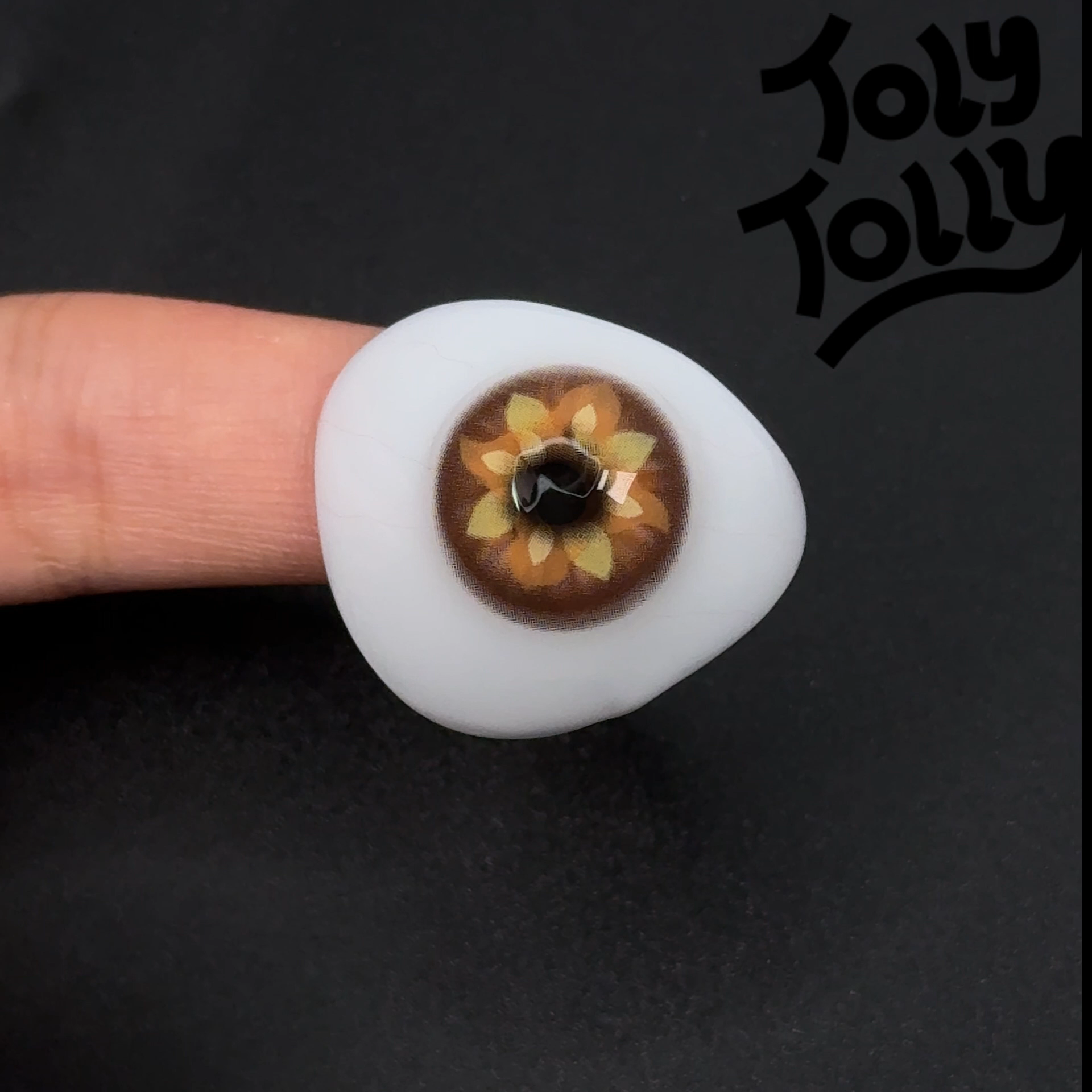 TolyTolly Arida Brown| 6-Month