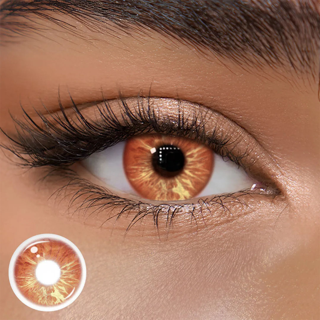 TolyTolly Livra Brown