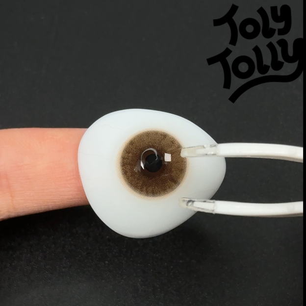 TolyTolly Ecru Brown