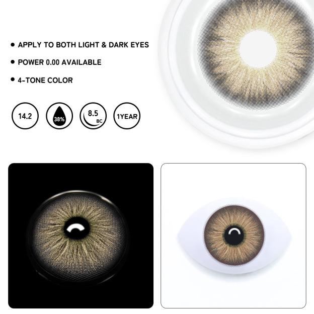 TolyTolly Evergreen Brown