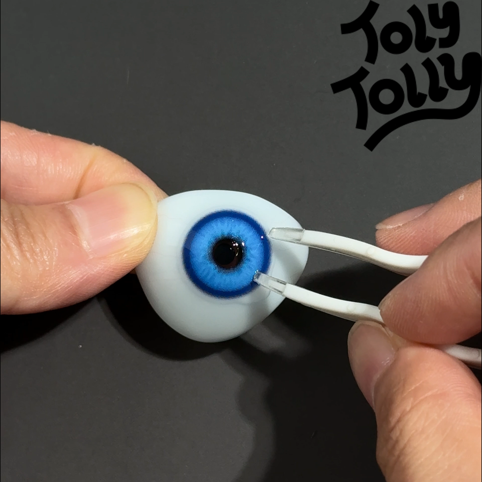 TolyTolly Specter Blue| 6-Month