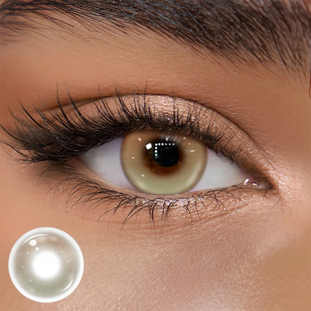 TolyTolly Nocta Brown