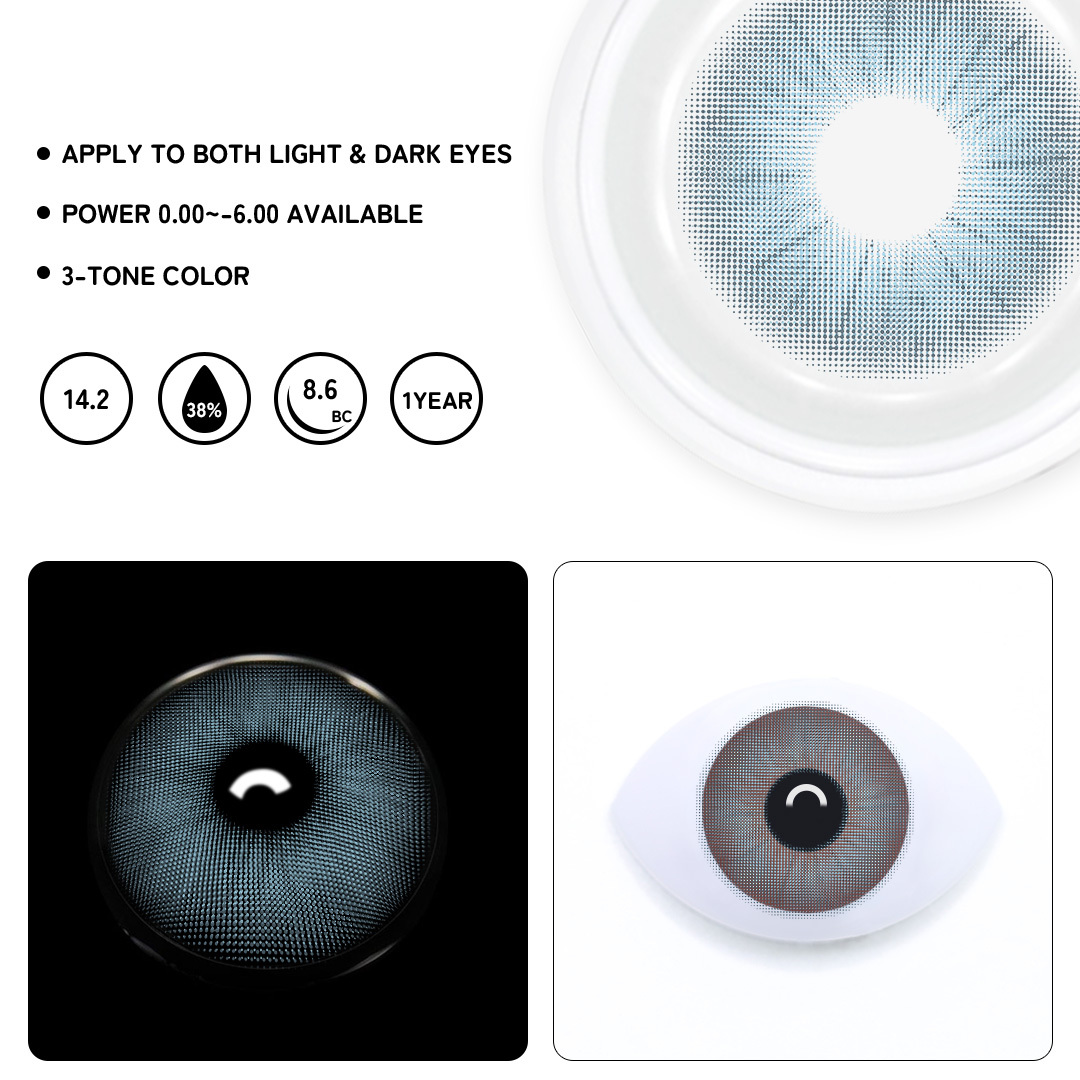 TolyTolly Rome Times Blue