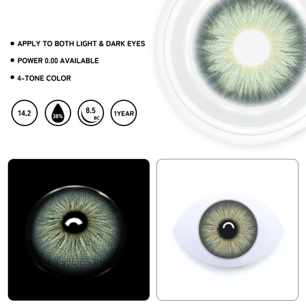 TolyTolly Evergreen Olive