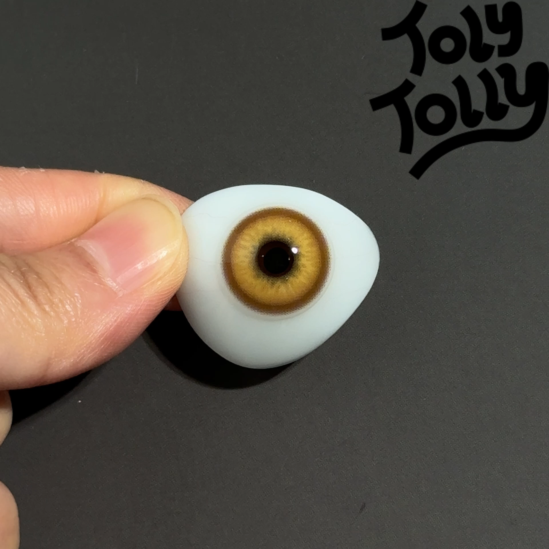 TolyTolly Specter Brown| 6-Month