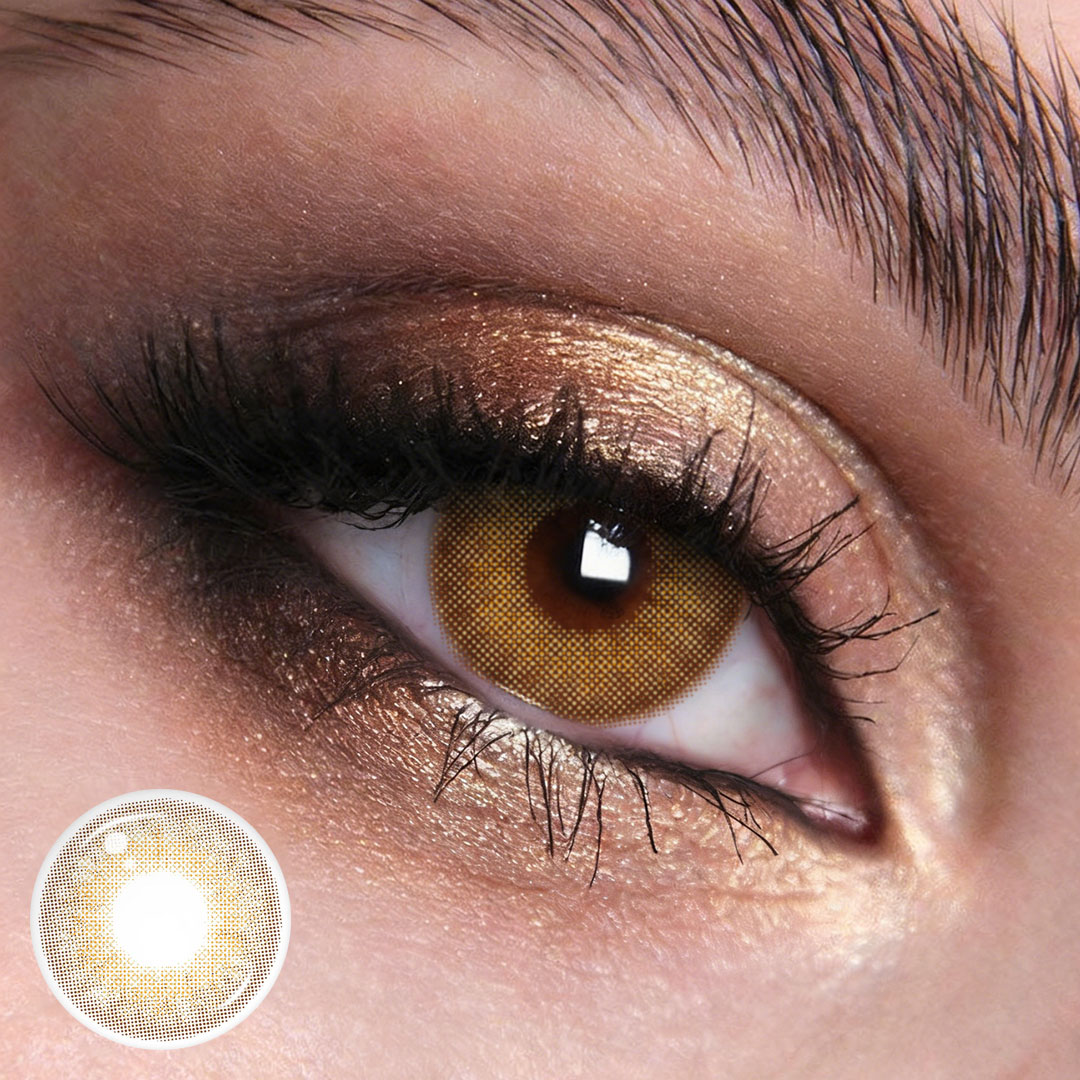 TolyTolly Hazelnut Muse