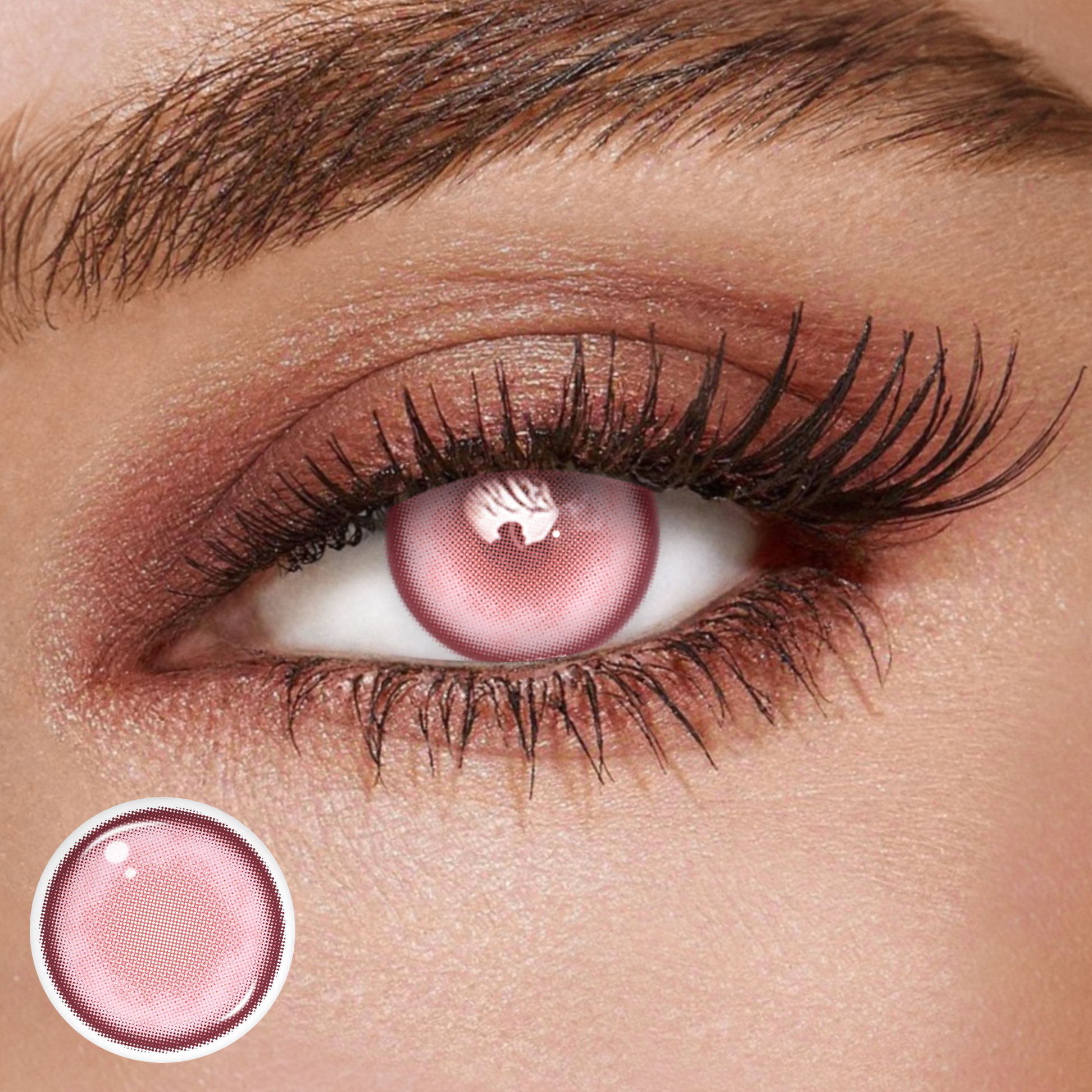 TolyTolly Clove Pink| Monthly