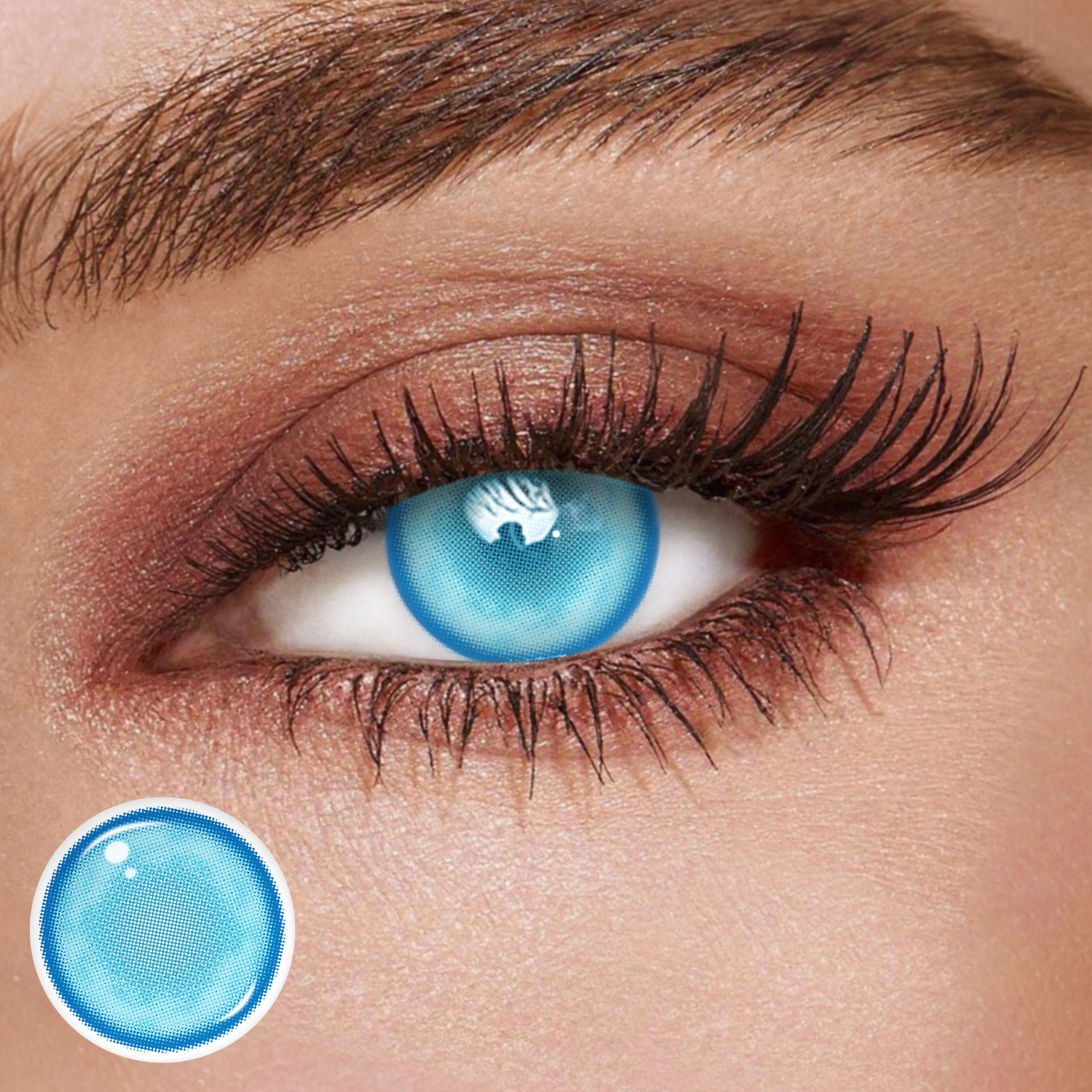 TolyTolly Clove Blue