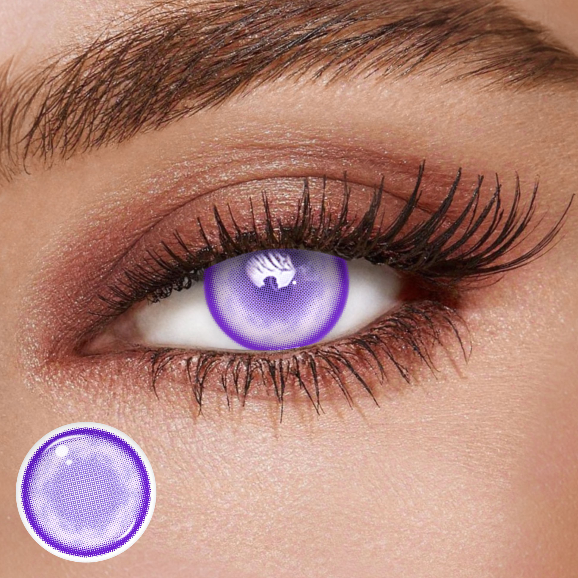TolyTolly Clove Purple| Monthly
