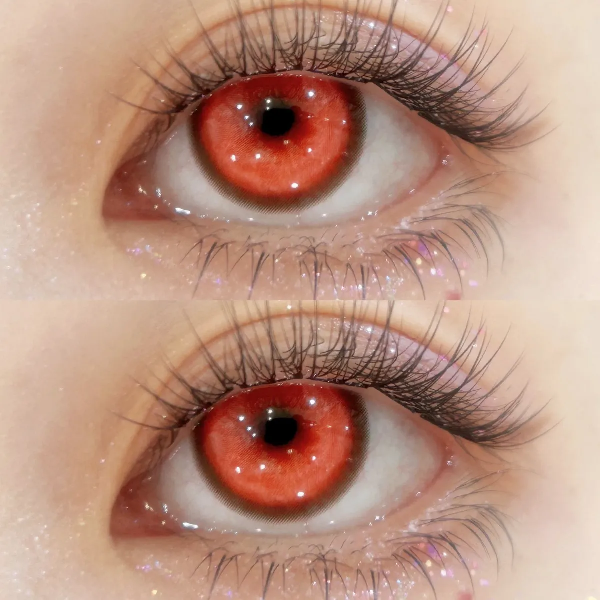 TolyTolly Thyme Red | Daily