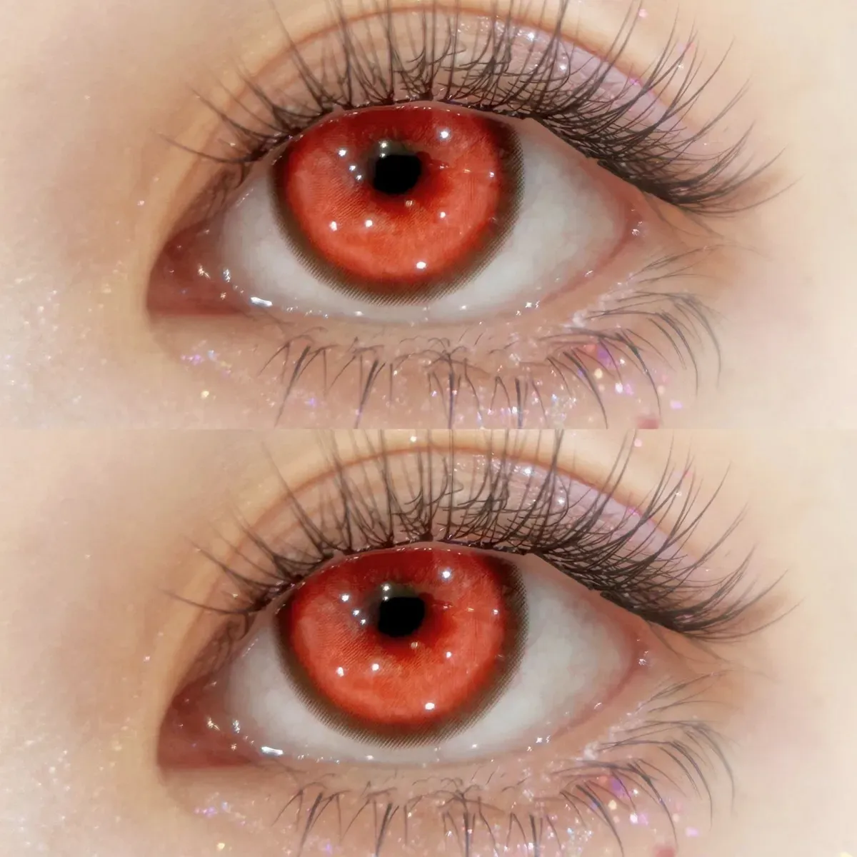 TolyTolly Thyme Red | Daily