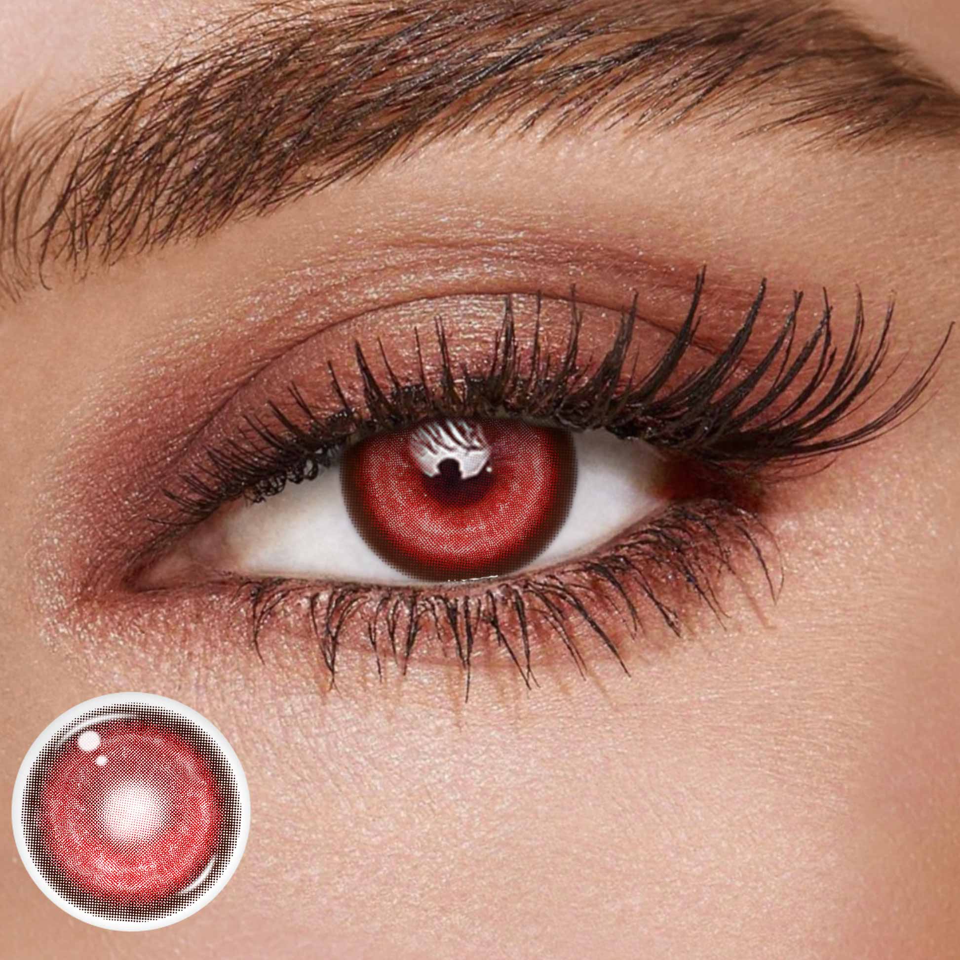 TolyTolly Thyme Red | Daily