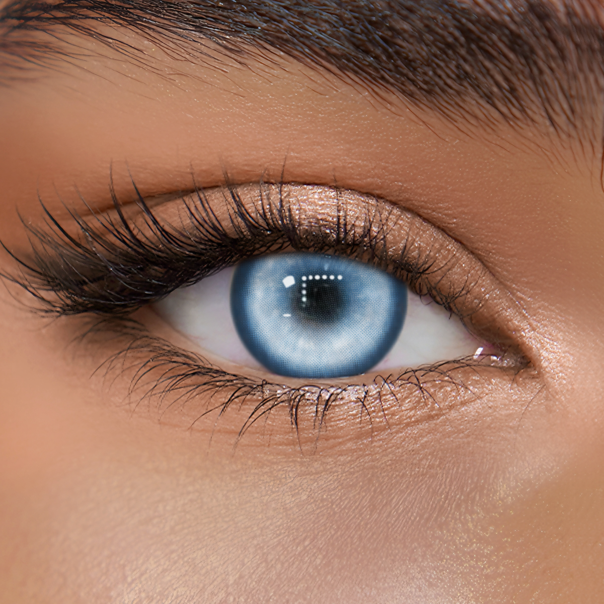 TolyTolly Thyme Blue | Daily