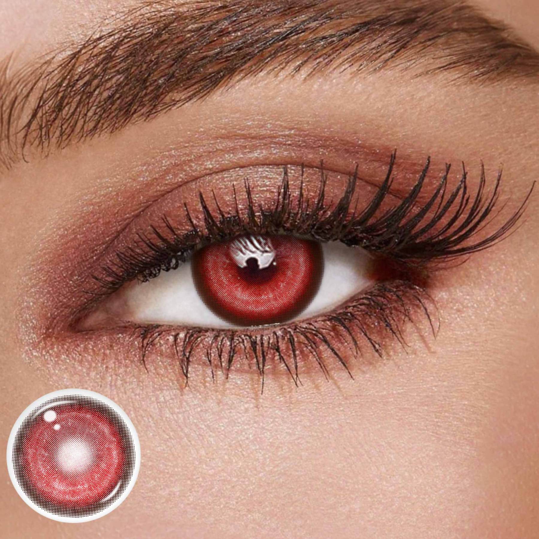 TolyTolly Thyme Red | Daily