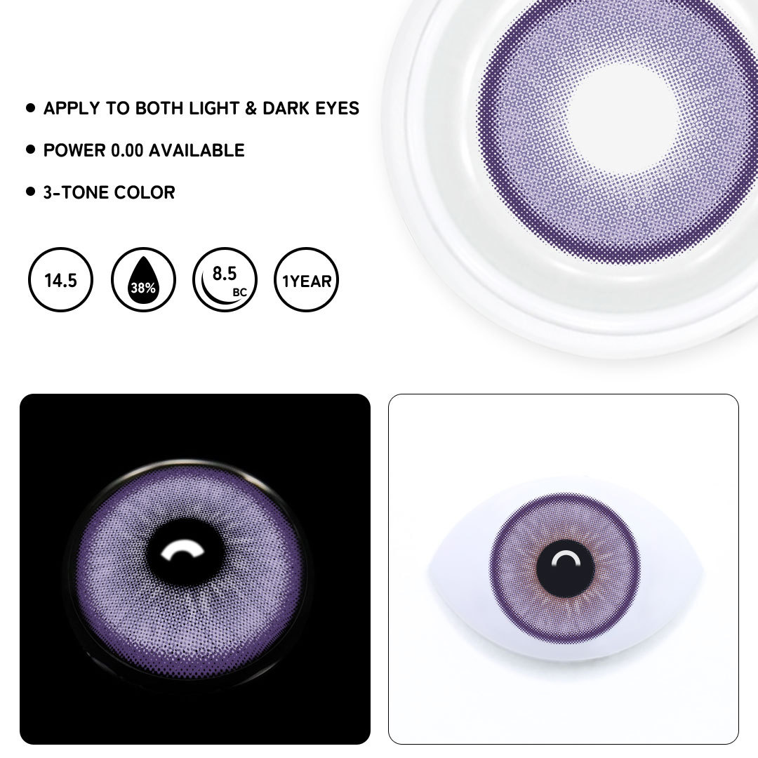 TolyTolly Beagan Purple