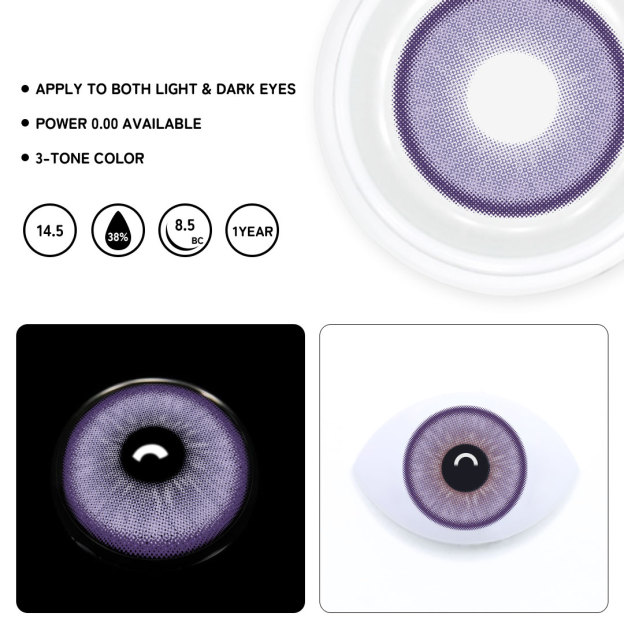 TolyTolly Beagan Purple