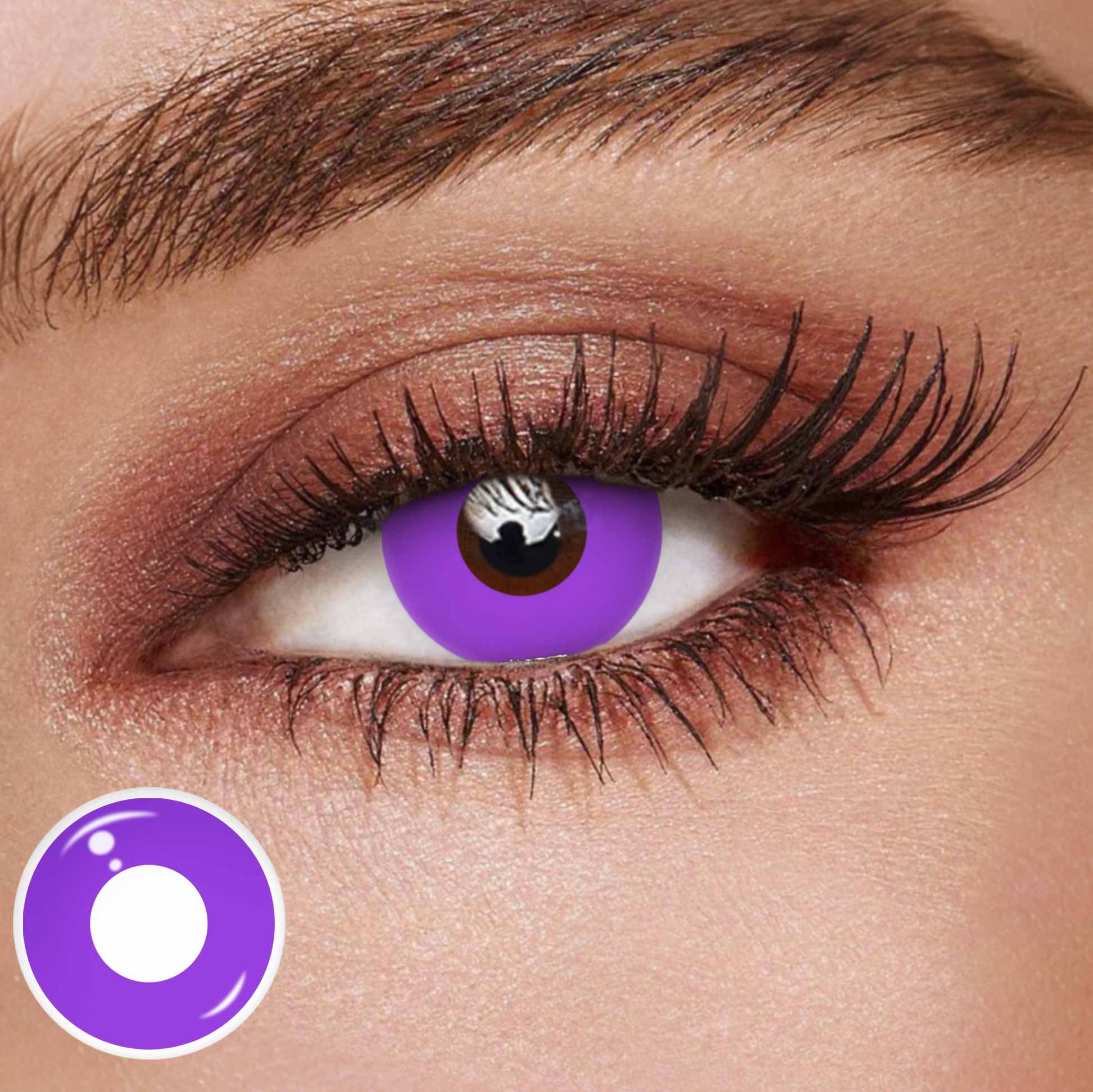 TolyTolly Blank Purple