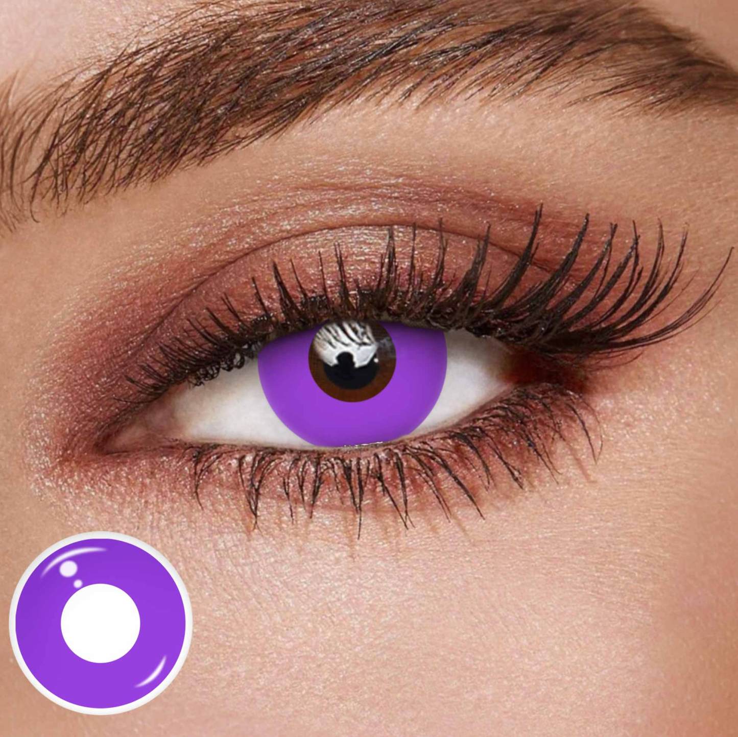 TolyTolly Blank Purple