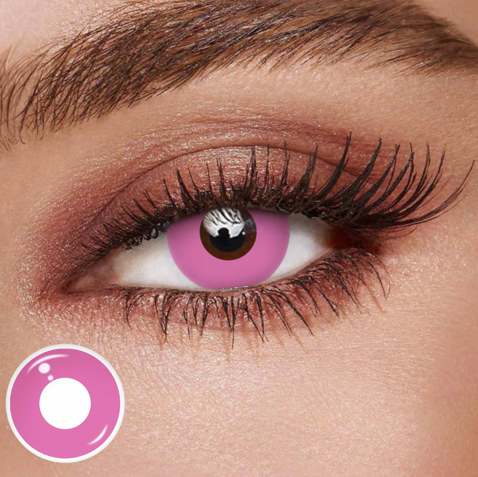 TolyTolly Blank Rose Red