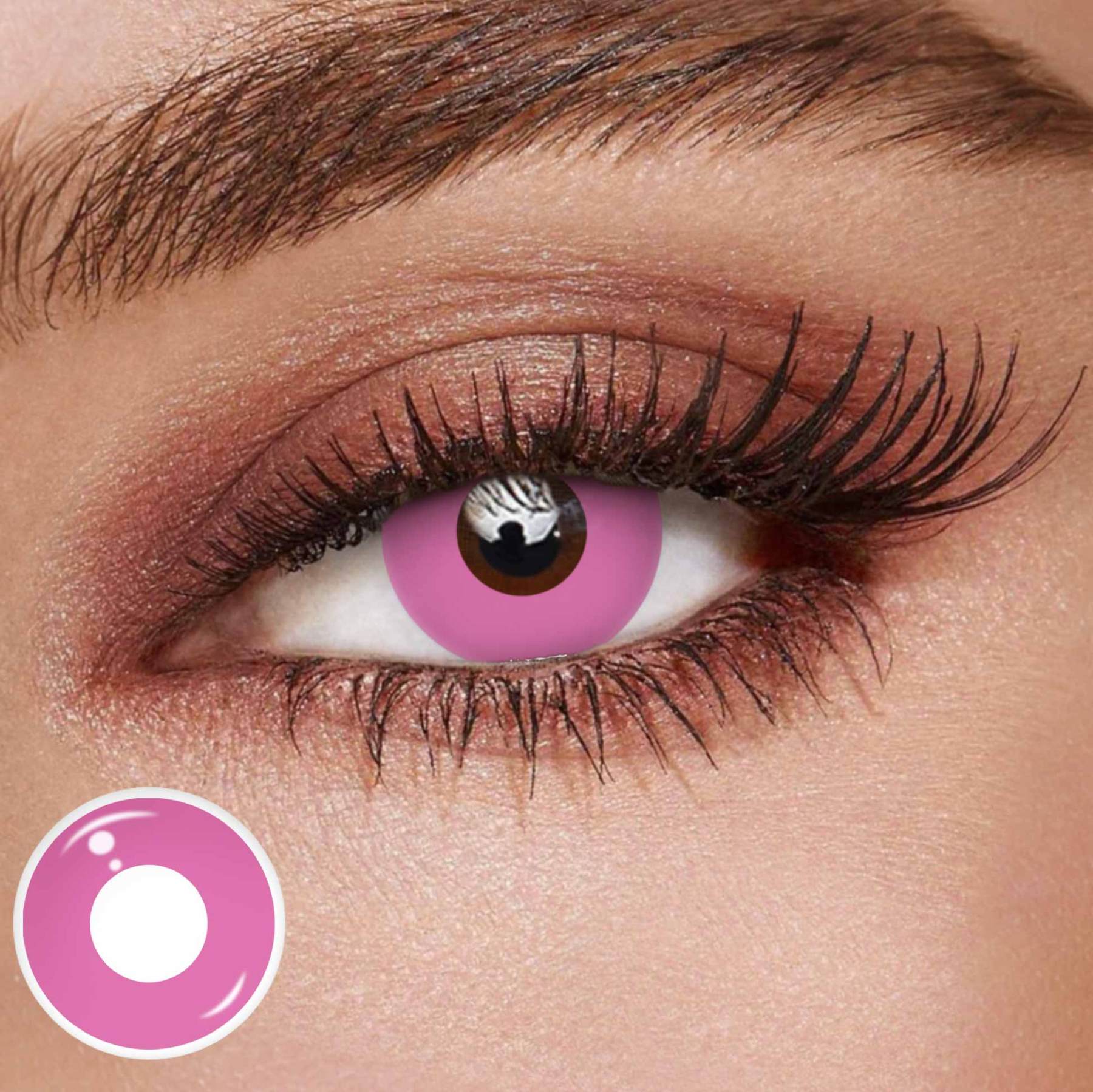 TolyTolly Blank Rose Red