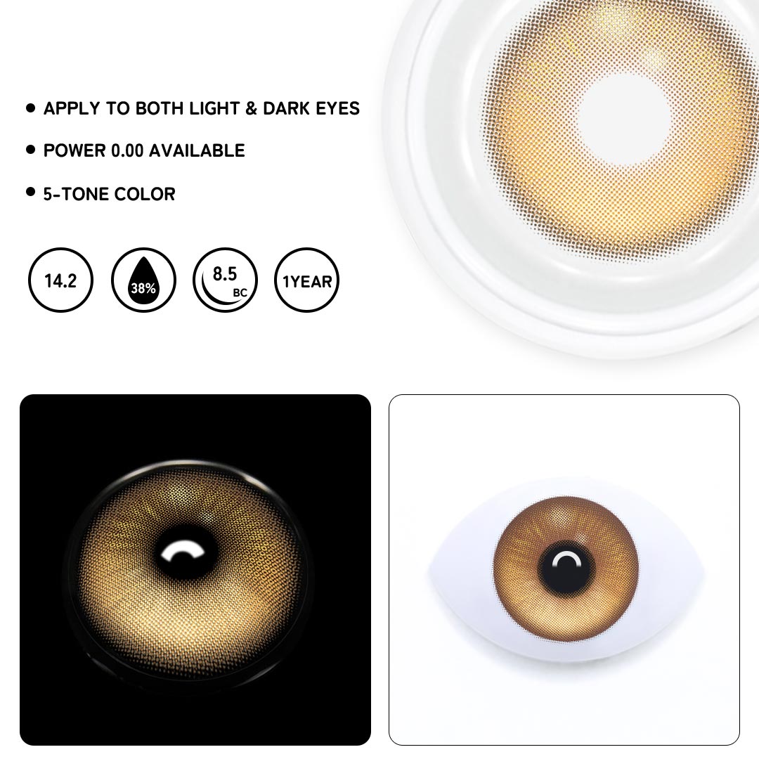 TolyTolly Brunelle Brown