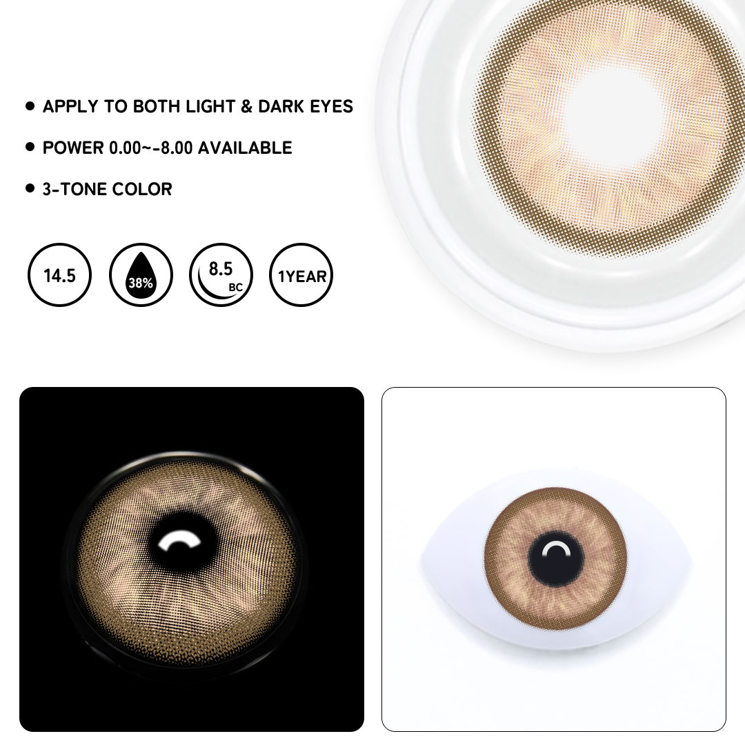 TolyTolly Canvas Brown