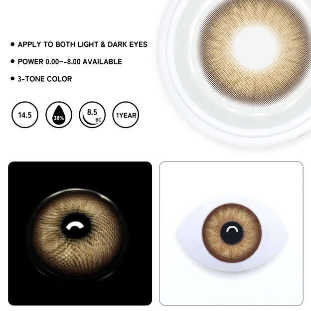 TolyTolly Chroma Brown