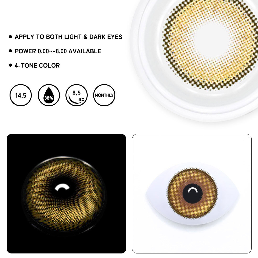 TolyTolly Crystis Brown| Monthly