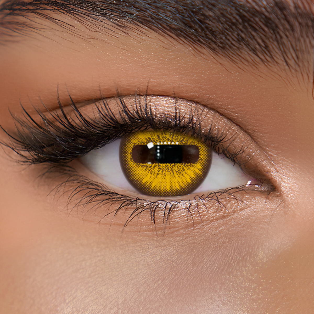 TolyTolly Goat Eye Brown