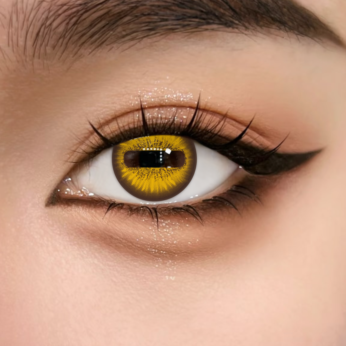 TolyTolly Goat Eye Brown