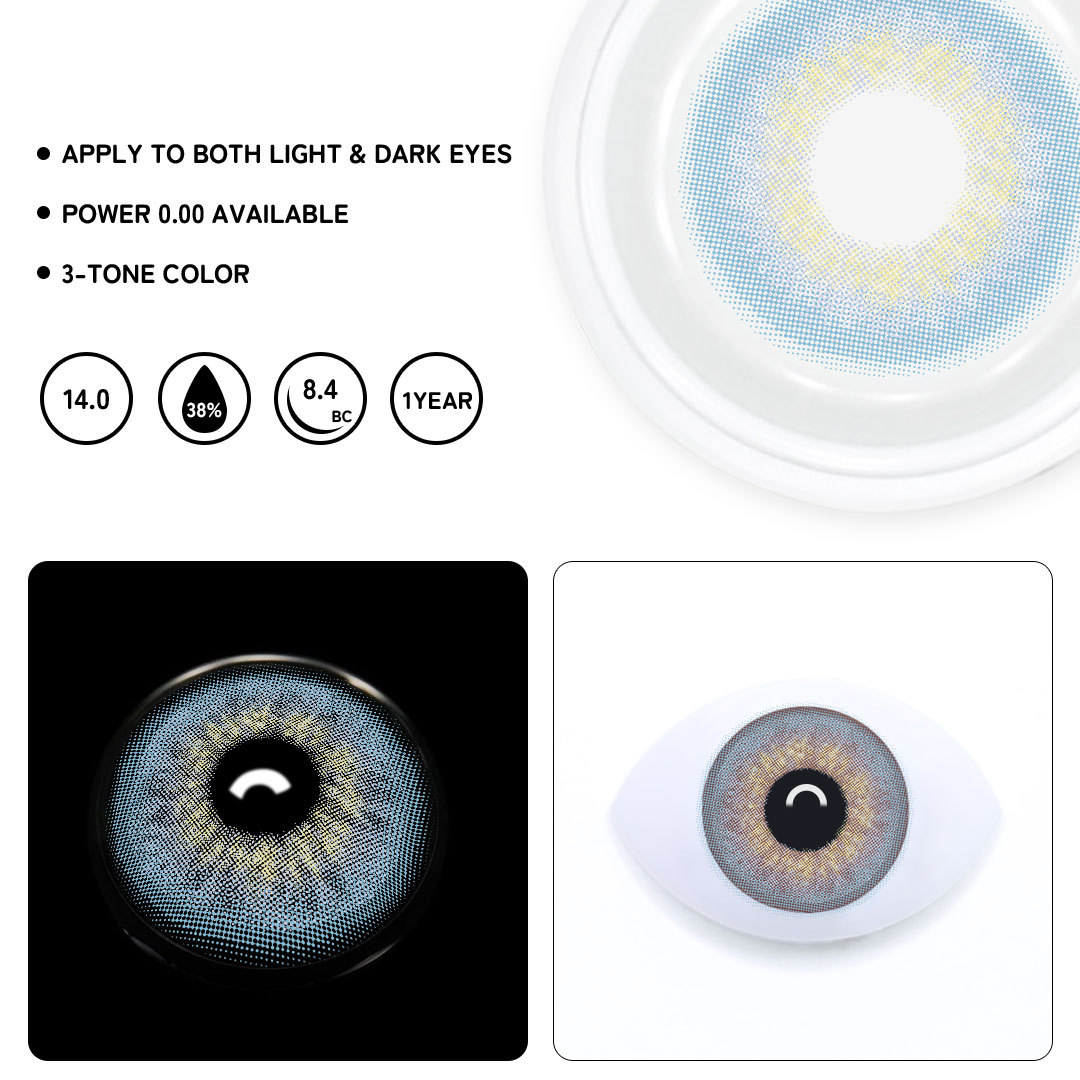 TolyTolly DNA Taylor Blue Gray