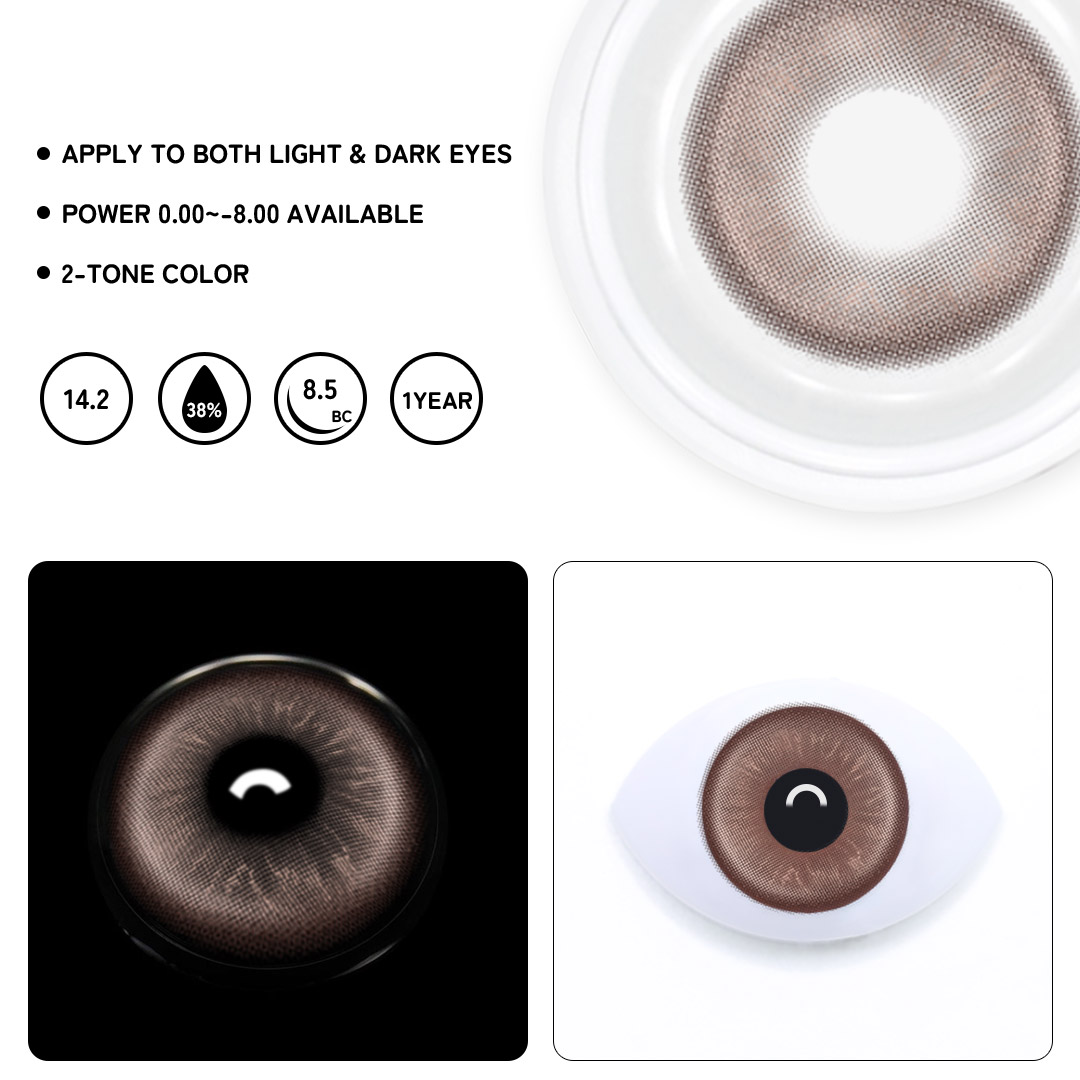 TolyTolly Delis Chocolate