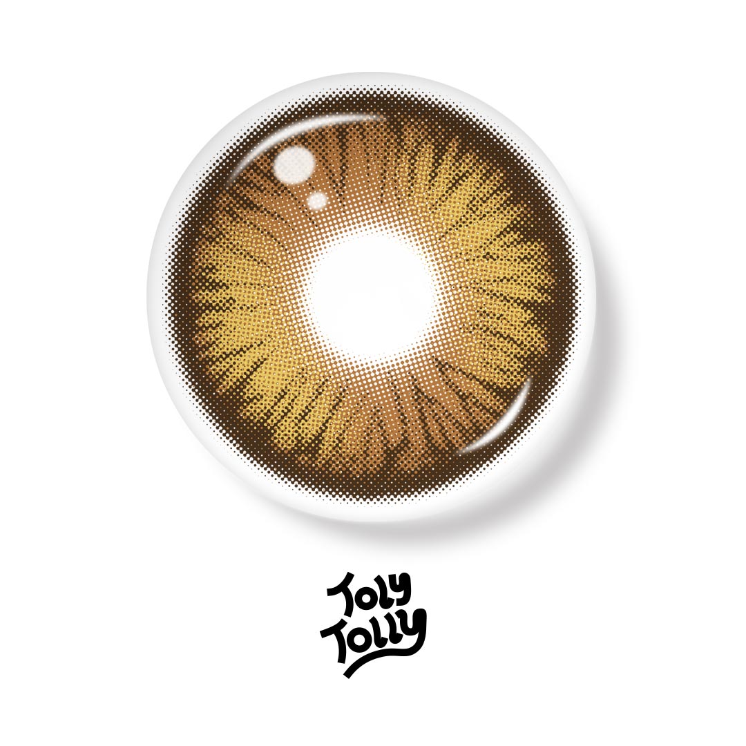 TolyTolly Dioren Brown