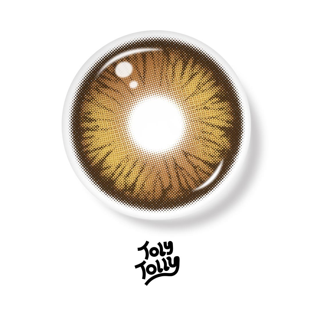 TolyTolly Dioren Brown