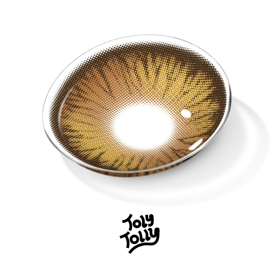 TolyTolly Dioren Brown