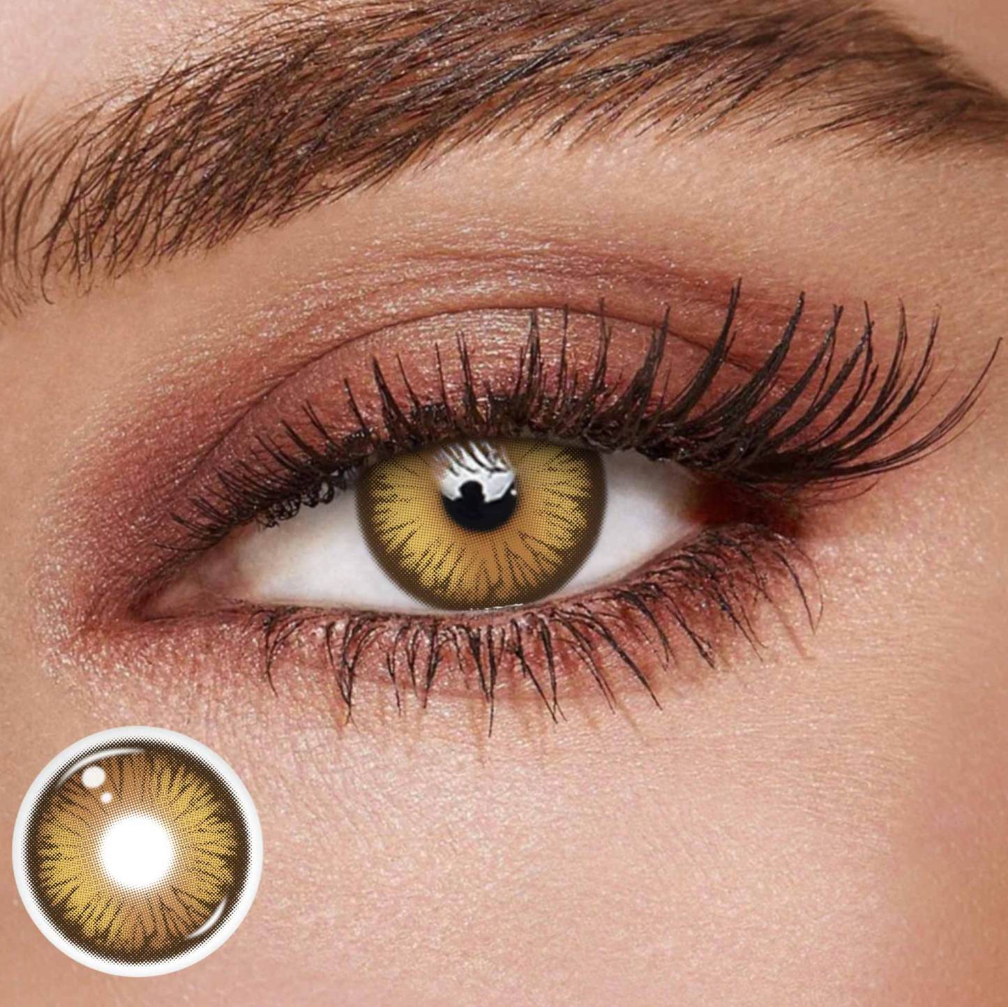 TolyTolly Dioren Brown