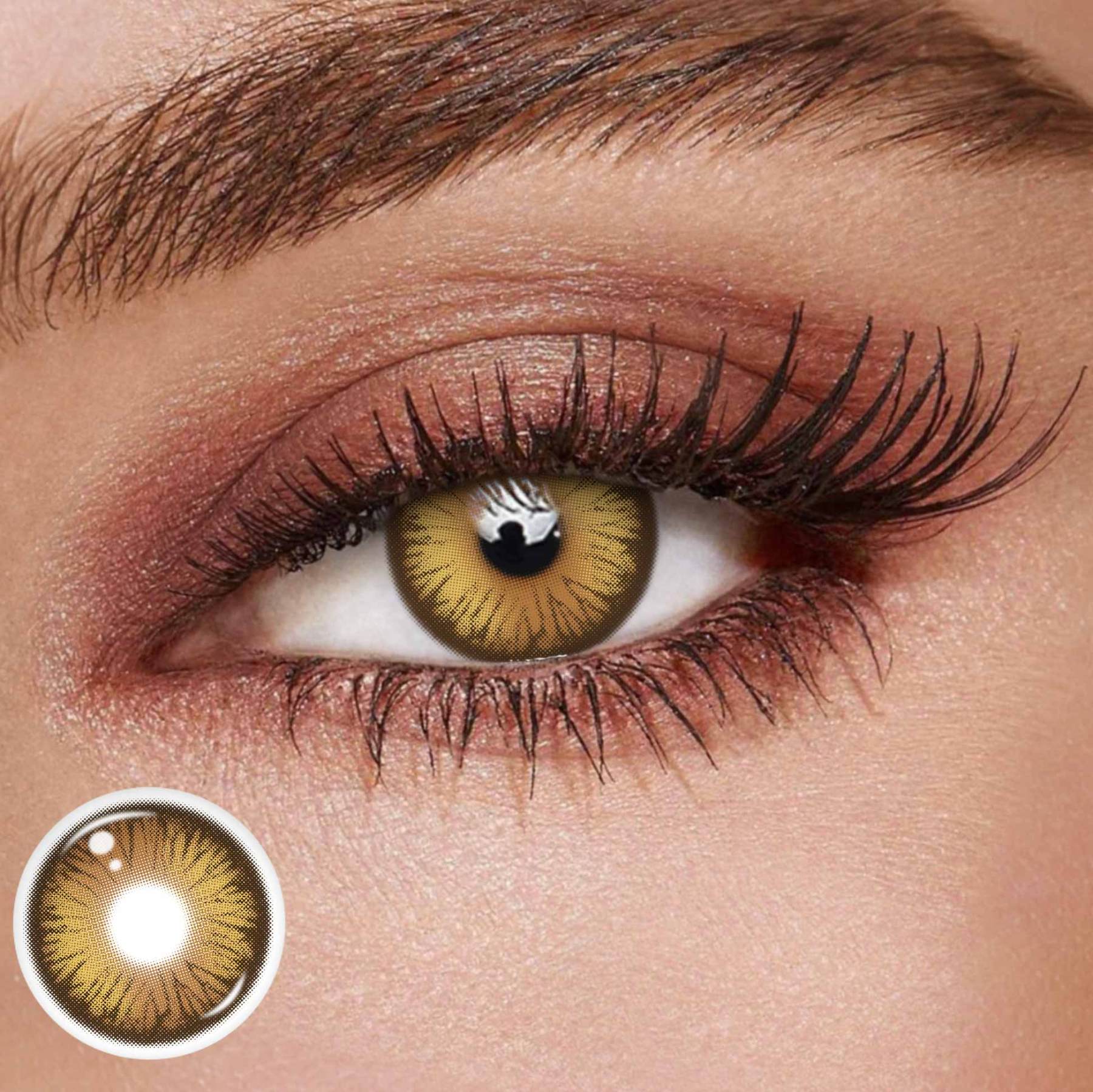 TolyTolly Dioren Brown