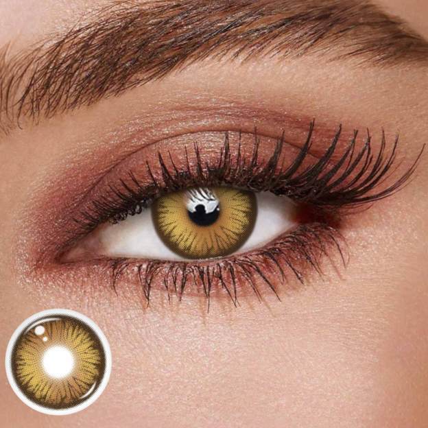 TolyTolly Dioren Brown