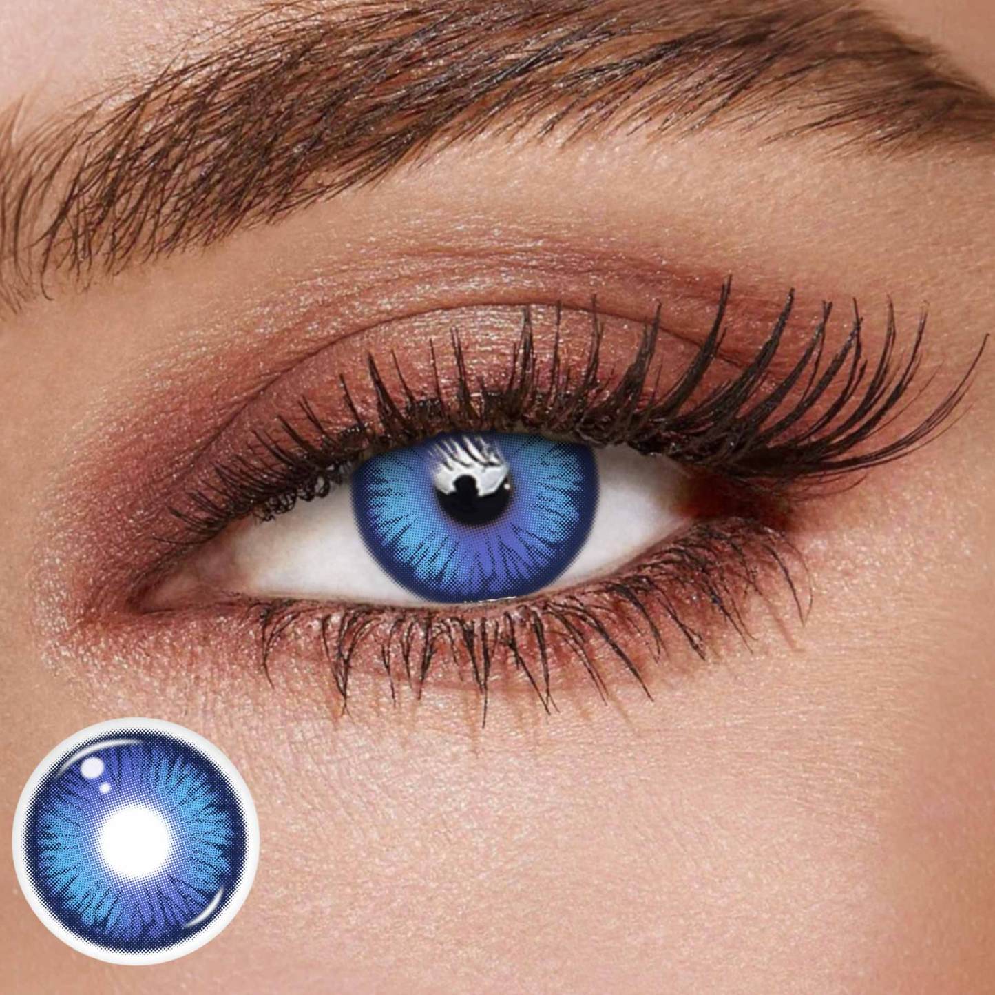 TolyTolly Dioren Purple