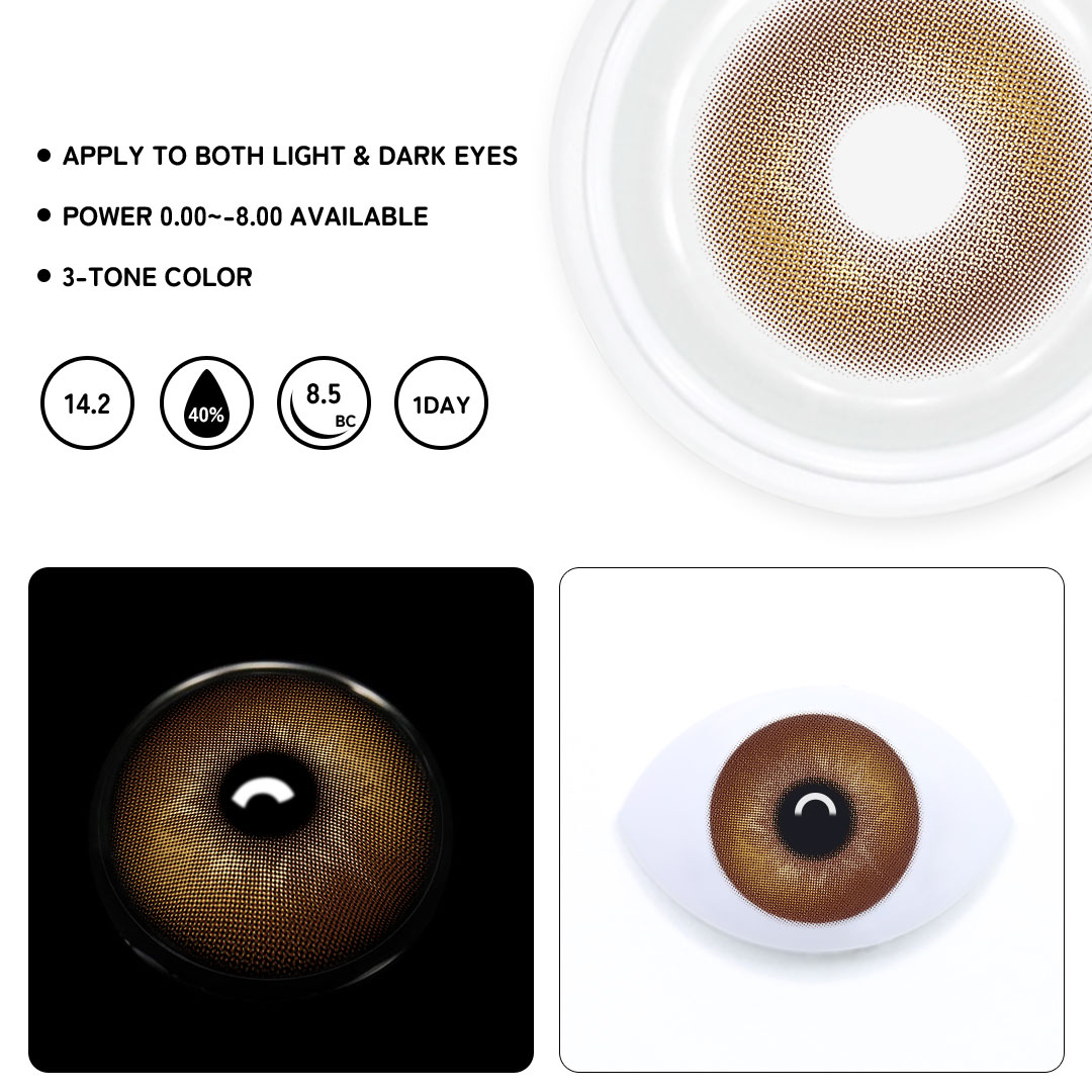 TolyTolly Dolce Brown | Daily