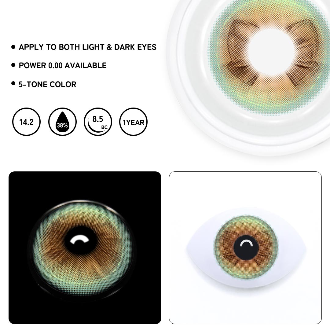 TolyTolly Dreamy Bow Brown