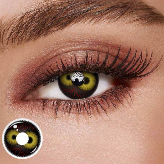 TolyTolly Dual Ember Brown