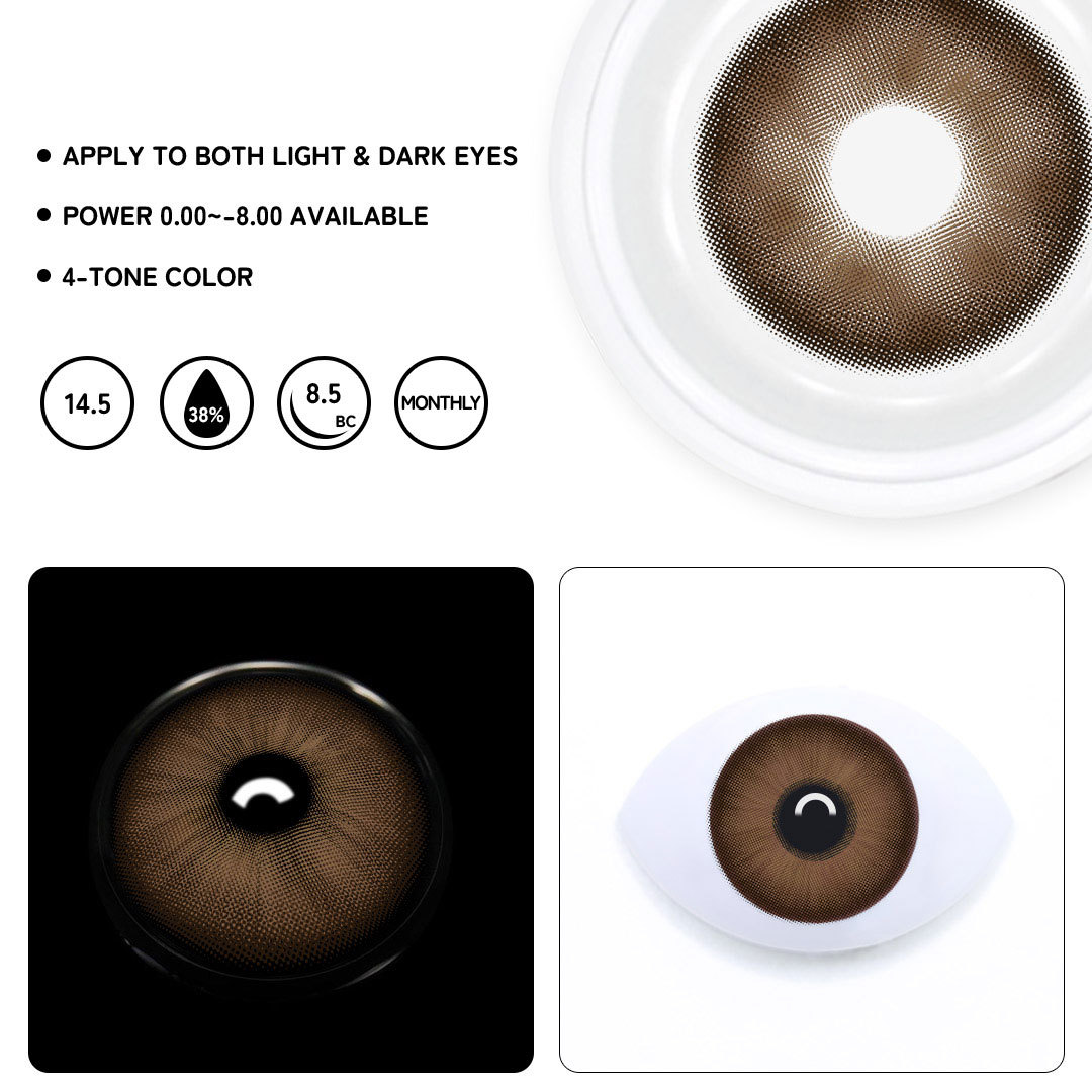 TolyTolly Evelyn Chocolate| Monthly