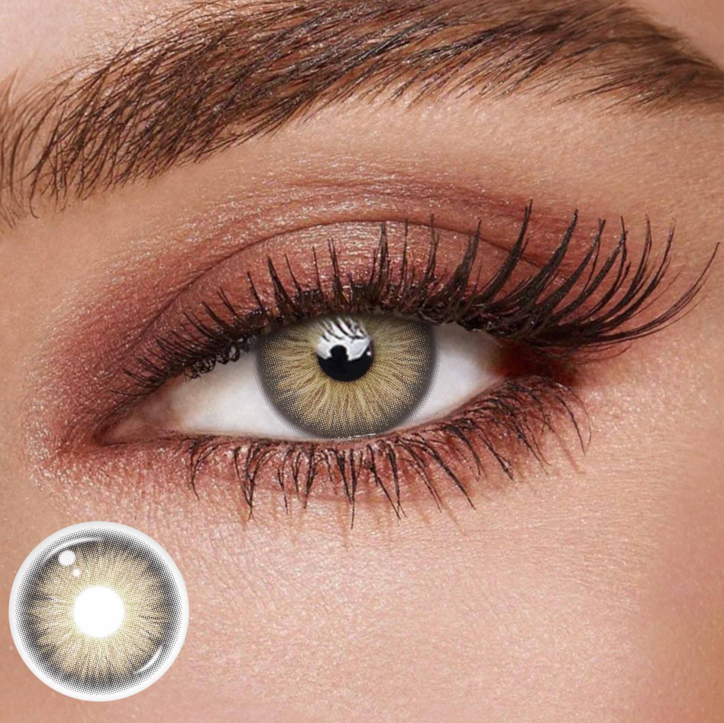 TolyTolly Evergreen Brown