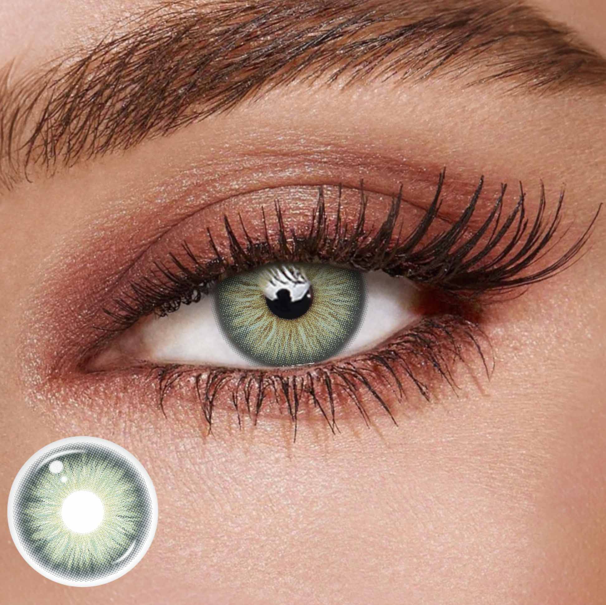 TolyTolly Evergreen Olive