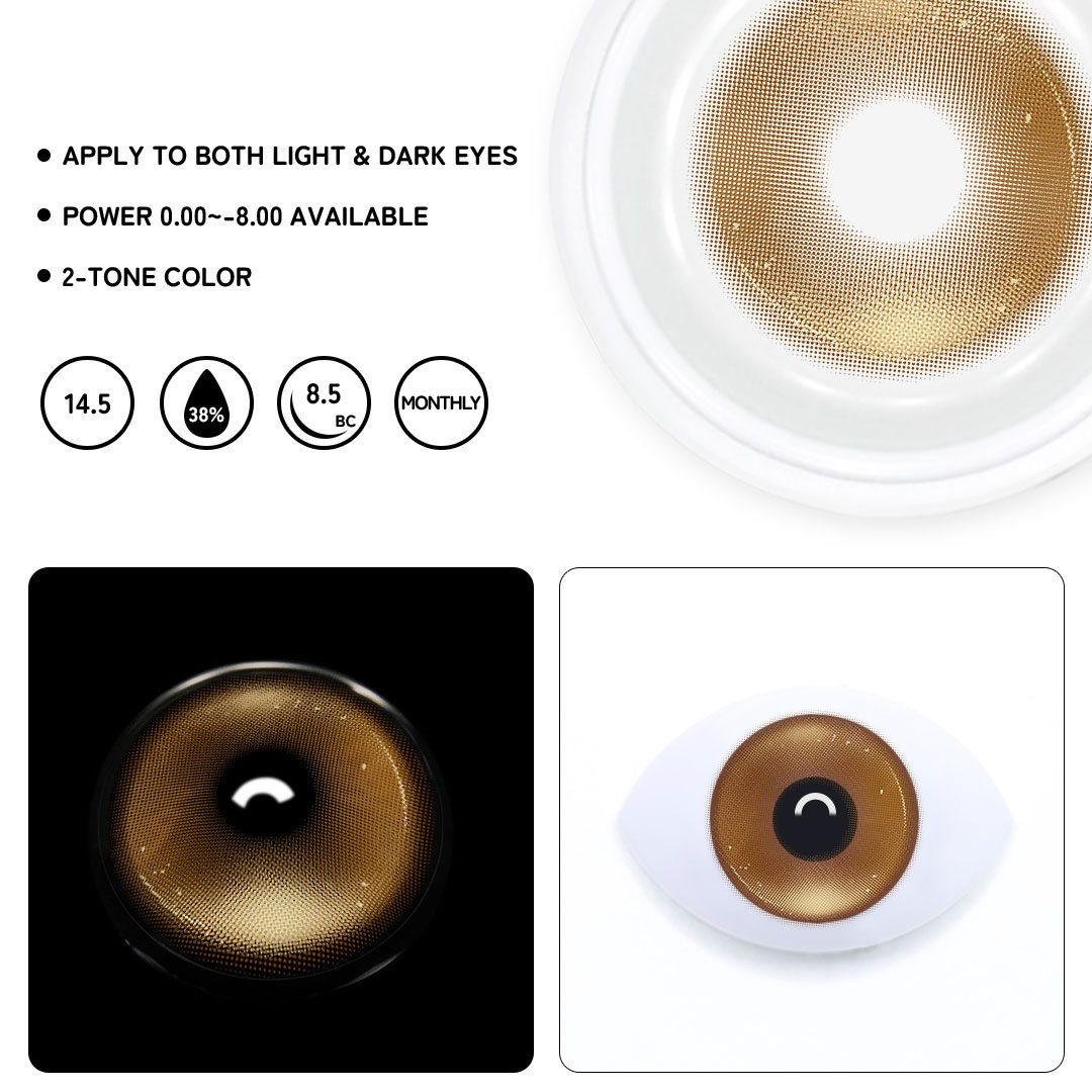 TolyTolly Frosty Brown| Monthly