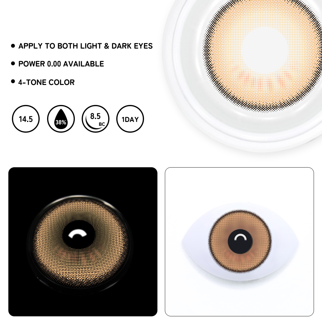 TolyTolly Golden Bloom | Daily