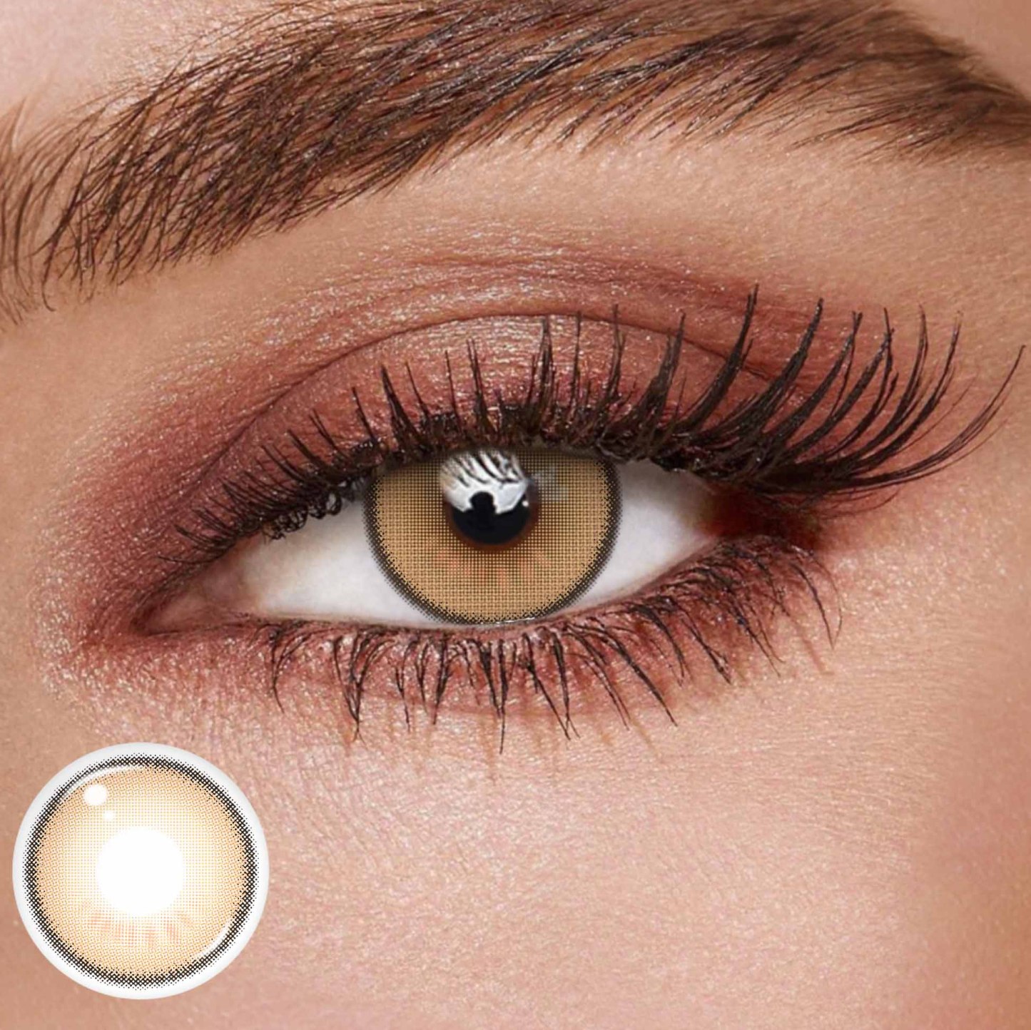 TolyTolly Golden Bloom | Daily