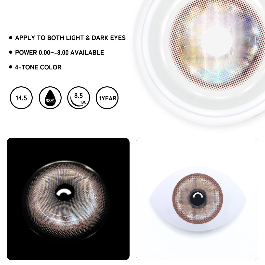 TolyTolly Golden Ray Brown